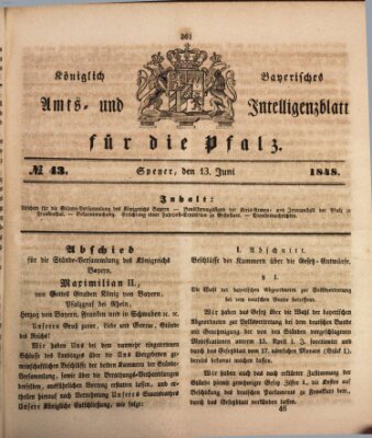 Königlich bayerisches Amts- und Intelligenzblatt für die Pfalz Dienstag 13. Juni 1848