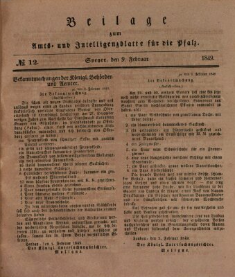 Königlich bayerisches Amts- und Intelligenzblatt für die Pfalz Freitag 9. Februar 1849