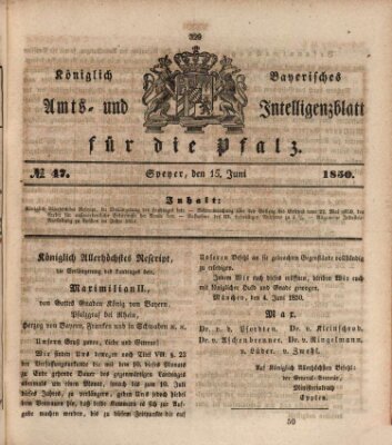 Königlich bayerisches Amts- und Intelligenzblatt für die Pfalz Samstag 15. Juni 1850