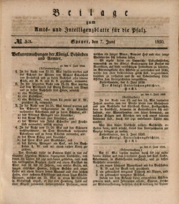 Königlich bayerisches Amts- und Intelligenzblatt für die Pfalz Freitag 7. Juni 1850