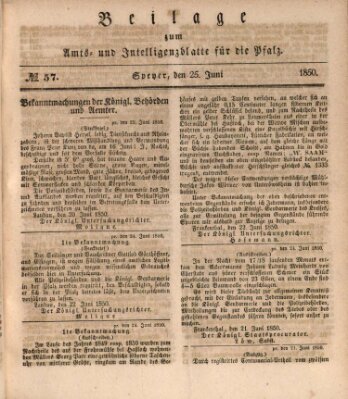 Königlich bayerisches Amts- und Intelligenzblatt für die Pfalz Dienstag 25. Juni 1850