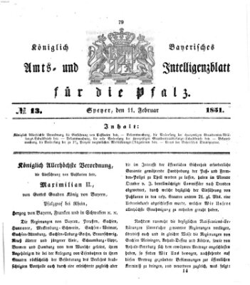 Königlich bayerisches Amts- und Intelligenzblatt für die Pfalz Dienstag 11. Februar 1851