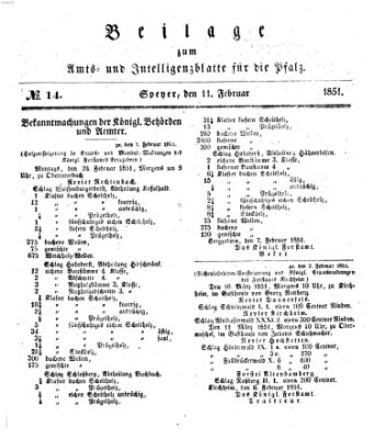 Königlich bayerisches Amts- und Intelligenzblatt für die Pfalz Dienstag 11. Februar 1851