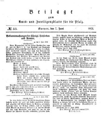 Königlich bayerisches Amts- und Intelligenzblatt für die Pfalz Dienstag 7. Juni 1853