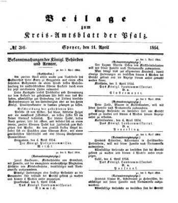 Königlich-bayerisches Kreis-Amtsblatt der Pfalz (Königlich bayerisches Amts- und Intelligenzblatt für die Pfalz) Dienstag 11. April 1854