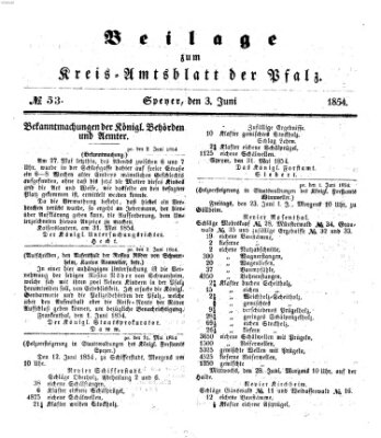 Königlich-bayerisches Kreis-Amtsblatt der Pfalz (Königlich bayerisches Amts- und Intelligenzblatt für die Pfalz) Samstag 3. Juni 1854