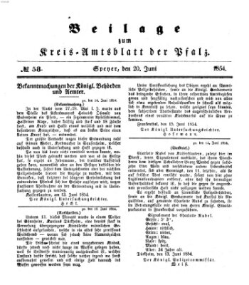 Königlich-bayerisches Kreis-Amtsblatt der Pfalz (Königlich bayerisches Amts- und Intelligenzblatt für die Pfalz) Dienstag 20. Juni 1854