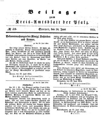 Königlich-bayerisches Kreis-Amtsblatt der Pfalz (Königlich bayerisches Amts- und Intelligenzblatt für die Pfalz) Samstag 24. Juni 1854