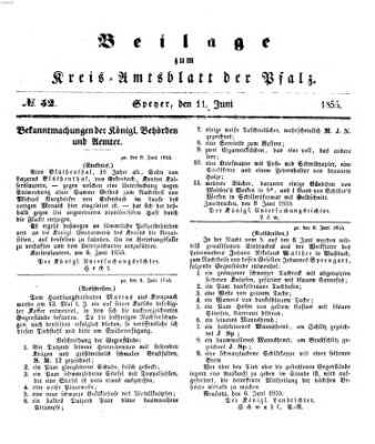 Königlich-bayerisches Kreis-Amtsblatt der Pfalz (Königlich bayerisches Amts- und Intelligenzblatt für die Pfalz) Montag 11. Juni 1855