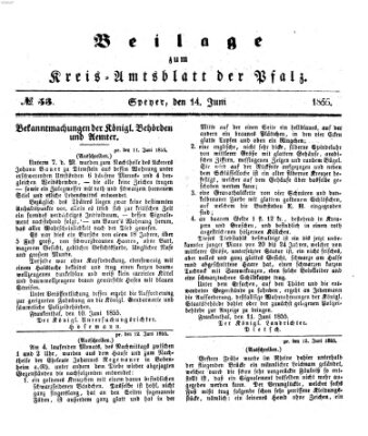 Königlich-bayerisches Kreis-Amtsblatt der Pfalz (Königlich bayerisches Amts- und Intelligenzblatt für die Pfalz) Donnerstag 14. Juni 1855