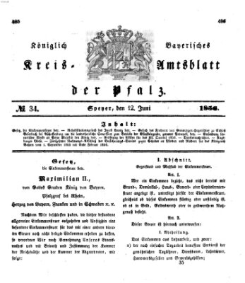 Königlich-bayerisches Kreis-Amtsblatt der Pfalz (Königlich bayerisches Amts- und Intelligenzblatt für die Pfalz) Donnerstag 12. Juni 1856