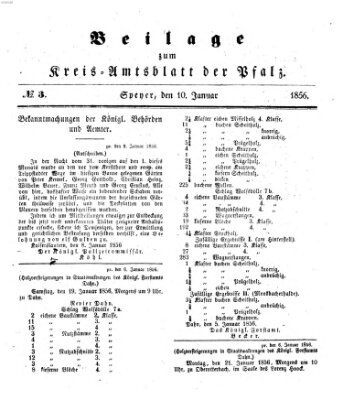 Königlich-bayerisches Kreis-Amtsblatt der Pfalz (Königlich bayerisches Amts- und Intelligenzblatt für die Pfalz) Donnerstag 10. Januar 1856