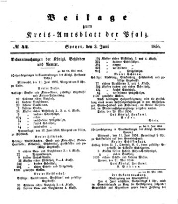 Königlich-bayerisches Kreis-Amtsblatt der Pfalz (Königlich bayerisches Amts- und Intelligenzblatt für die Pfalz) Dienstag 3. Juni 1856