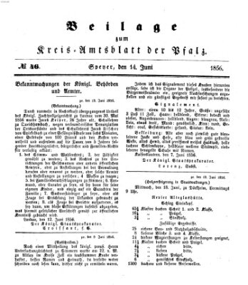 Königlich-bayerisches Kreis-Amtsblatt der Pfalz (Königlich bayerisches Amts- und Intelligenzblatt für die Pfalz) Samstag 14. Juni 1856