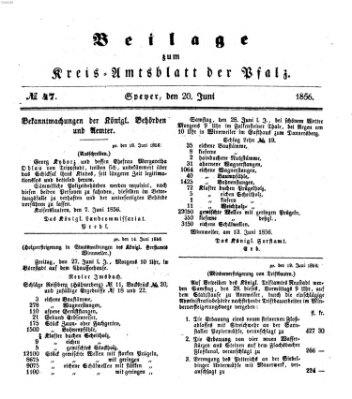 Königlich-bayerisches Kreis-Amtsblatt der Pfalz (Königlich bayerisches Amts- und Intelligenzblatt für die Pfalz) Freitag 20. Juni 1856