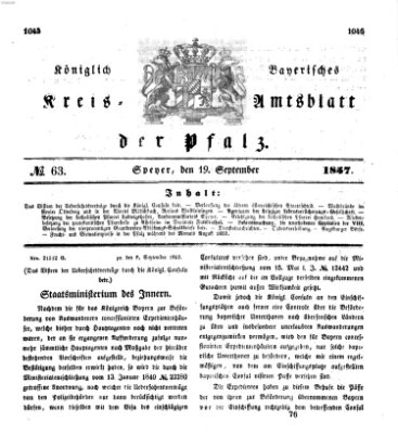 Königlich-bayerisches Kreis-Amtsblatt der Pfalz (Königlich bayerisches Amts- und Intelligenzblatt für die Pfalz) Samstag 19. September 1857