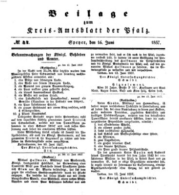 Königlich-bayerisches Kreis-Amtsblatt der Pfalz (Königlich bayerisches Amts- und Intelligenzblatt für die Pfalz) Dienstag 16. Juni 1857