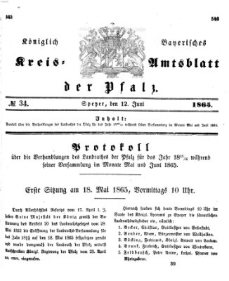 Königlich-bayerisches Kreis-Amtsblatt der Pfalz (Königlich bayerisches Amts- und Intelligenzblatt für die Pfalz) Montag 12. Juni 1865