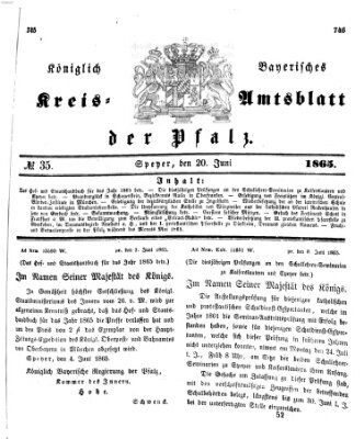 Königlich-bayerisches Kreis-Amtsblatt der Pfalz (Königlich bayerisches Amts- und Intelligenzblatt für die Pfalz) Dienstag 20. Juni 1865