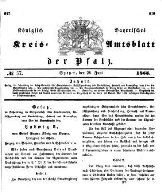 Königlich-bayerisches Kreis-Amtsblatt der Pfalz (Königlich bayerisches Amts- und Intelligenzblatt für die Pfalz) Mittwoch 28. Juni 1865