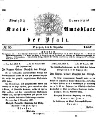 Königlich-bayerisches Kreis-Amtsblatt der Pfalz (Königlich bayerisches Amts- und Intelligenzblatt für die Pfalz) Dienstag 3. Dezember 1867