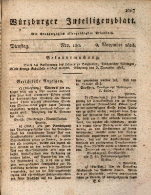 Würzburger Intelligenzblatt Dienstag 9. November 1813