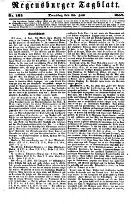 Regensburger Tagblatt Dienstag 15. Juni 1858