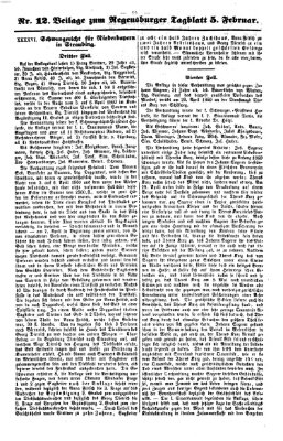 Regensburger Tagblatt Dienstag 5. Februar 1861