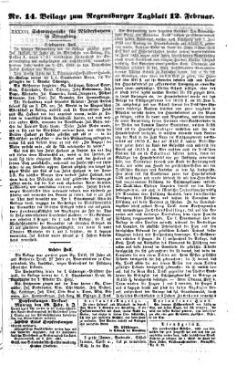 Regensburger Tagblatt Dienstag 12. Februar 1861