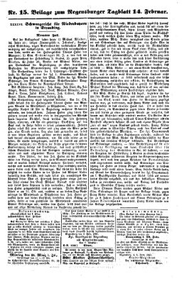 Regensburger Tagblatt Donnerstag 14. Februar 1861