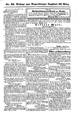 Regensburger Tagblatt Dienstag 12. März 1861