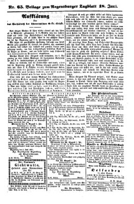 Regensburger Tagblatt Dienstag 18. Juni 1861