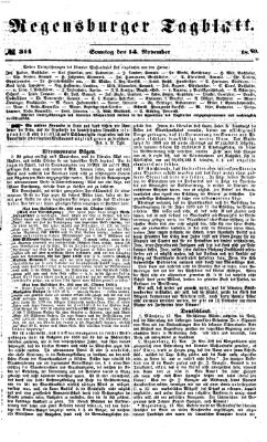 Regensburger Tagblatt Sonntag 14. November 1869