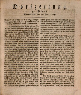 Dorfzeitung Samstag 11. Juni 1825