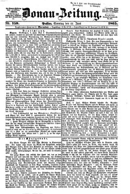 Donau-Zeitung Sonntag 11. Juni 1865