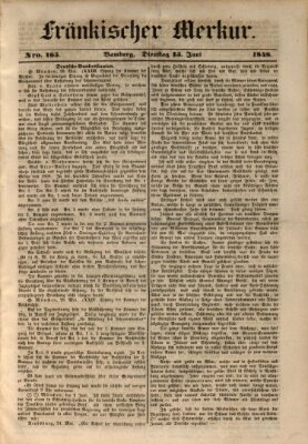 Fränkischer Merkur (Bamberger Zeitung) Dienstag 13. Juni 1848