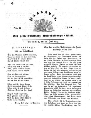 Passavia (Donau-Zeitung) Sonntag 28. Juni 1829