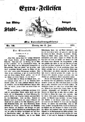 Würzburger Stadt- und Landbote Sonntag 13. Juni 1858