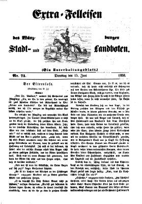 Würzburger Stadt- und Landbote Dienstag 15. Juni 1858