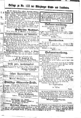 Würzburger Stadt- und Landbote Dienstag 4. Juni 1867