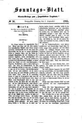 Ingolstädter Tagblatt Sonntag 3. September 1865