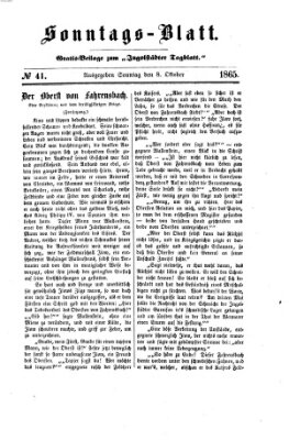 Ingolstädter Tagblatt Sonntag 8. Oktober 1865