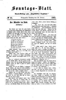 Ingolstädter Tagblatt Sonntag 29. Oktober 1865