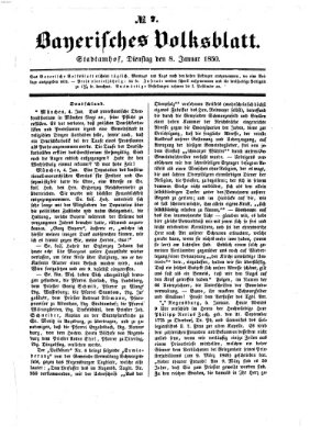 Bayerisches Volksblatt (Regensburger Morgenblatt) Dienstag 8. Januar 1850