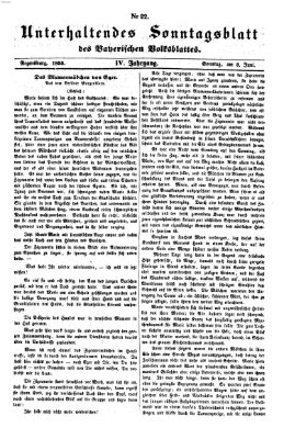 Bayerisches Volksblatt (Regensburger Morgenblatt) Sonntag 3. Juni 1855