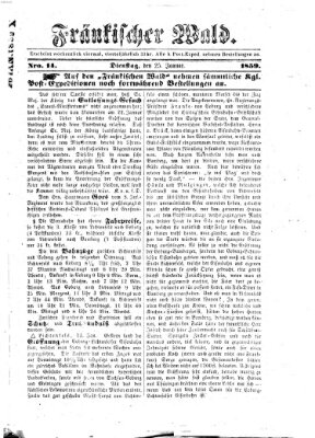 Fränkischer Wald Dienstag 25. Januar 1859