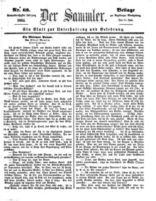 Der Sammler (Augsburger Abendzeitung) Samstag 11. Juni 1864