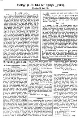 Pfälzer Zeitung Dienstag 11. Juni 1861