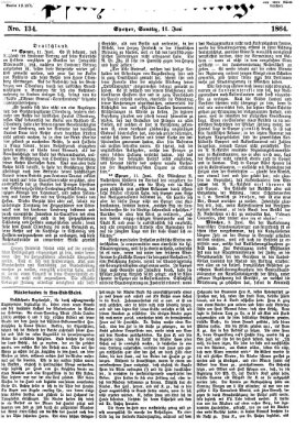 Pfälzer Zeitung Samstag 11. Juni 1864