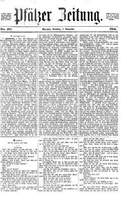 Pfälzer Zeitung Dienstag 7. November 1865